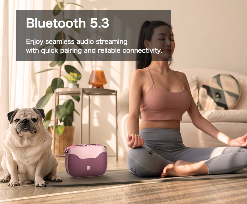 Doss SoundBox H100 Bluetooth Speaker