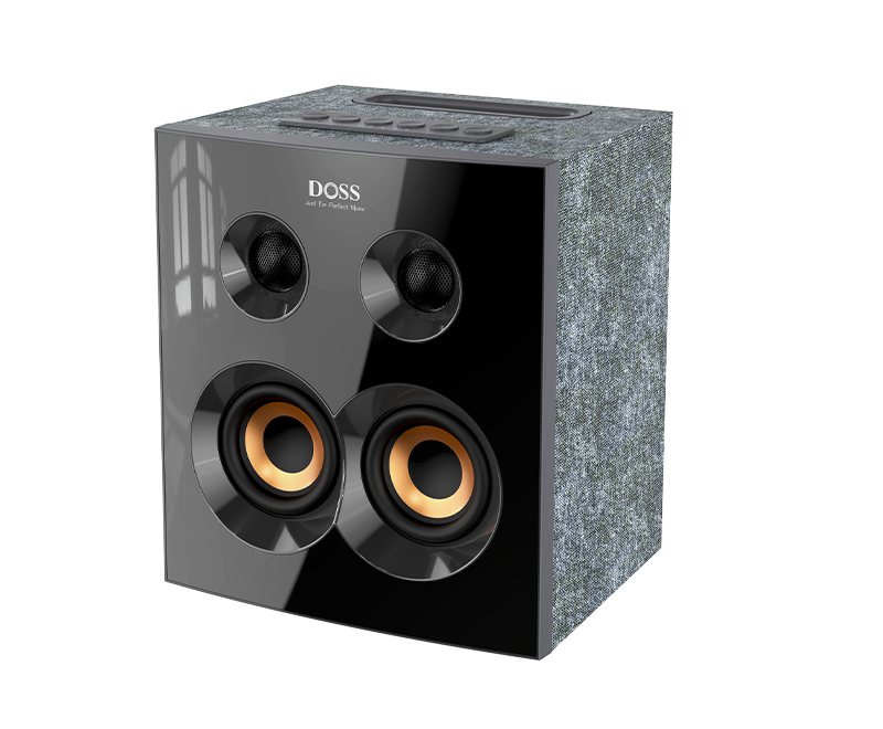 Doss SoundBox H300 Bookshelf Speaker